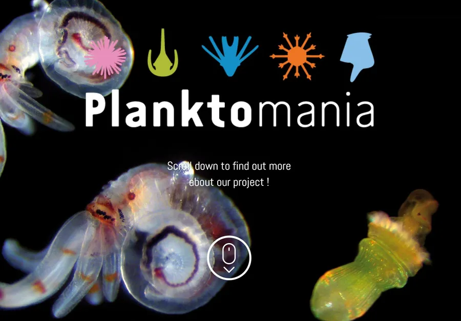 Planktomania - resursi za podučavanje o planktonu