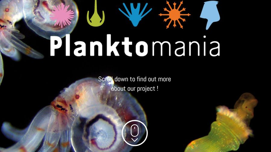 Planktomania - resursi za podučavanje o planktonu